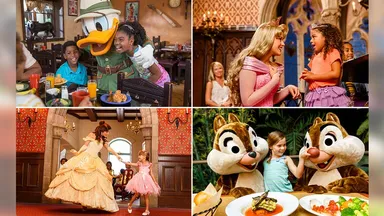 フロリダ ウォルト・ディズニー・ワールド・リゾートで楽しめるキャラクターダイニングを詳しく見る（外部サイトへ）